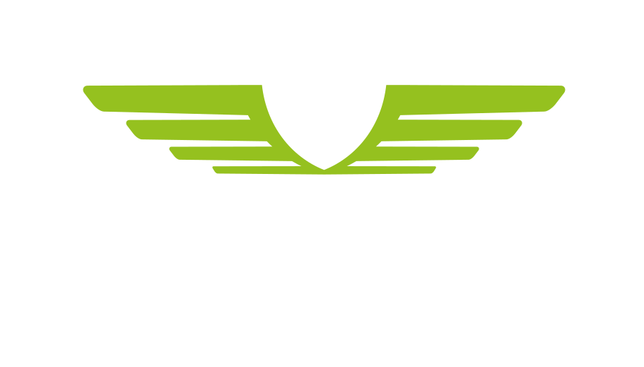 Volta